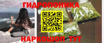 spice Шелехов
