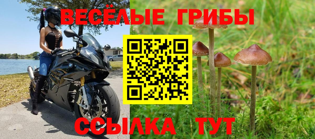 Псилоцибиновые грибы Magic Shrooms  Вход с VPN  Чистополь 